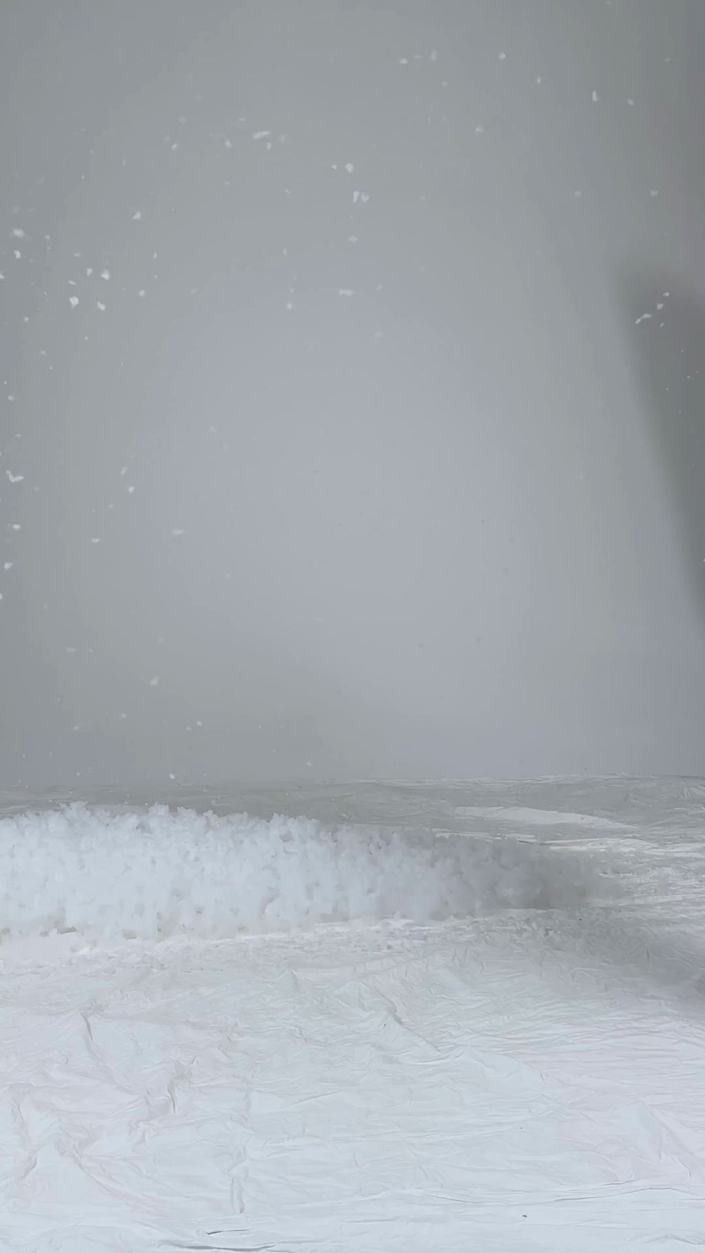 Зимовий комбінезон Близниця - Білий